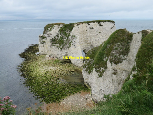 Photo 6"x4" Old Harry Rocks, near Swanage Studland c2021