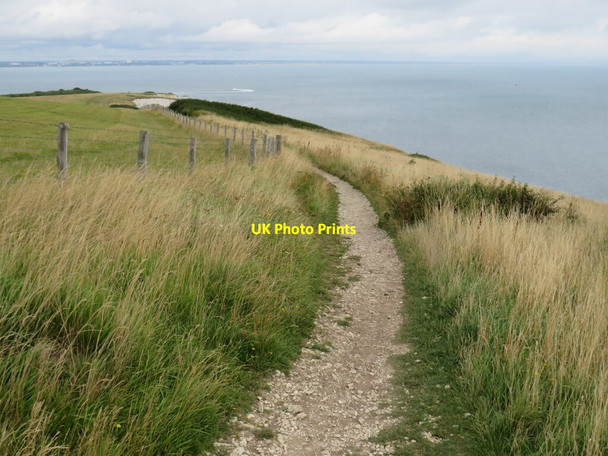 Photo 6"x4" South West Coast Path near Swanage Studland c2021 P1