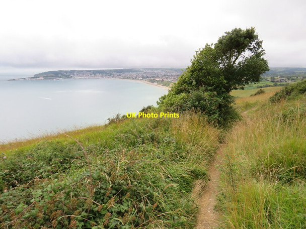 Photo 6"x4" South West Coast Path overlooking Swanage Studland c2021
