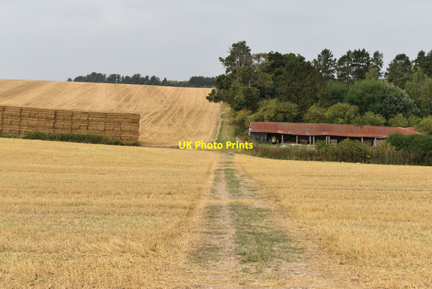Photo 6"x4" Bridleway across fields past South Farm Great Durnford c2021