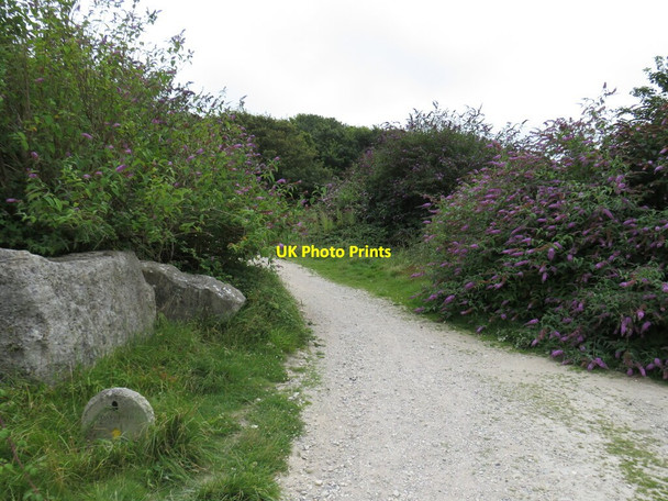 Photo 6"x4" South West Coast Path, Isle of Portland Fortuneswell c2021