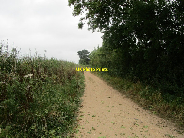 Photo 6"x4" Byway to Carver's Hollow Edingley c2021