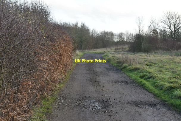 Photo 6"x4" Track across London Golf Course Ash\/TQ6064 c2020