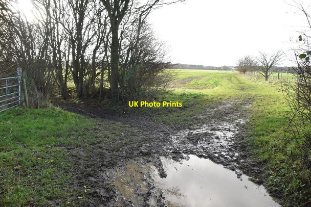 Photo 6"x4" Bridleway off Wises Lane Stansted c2020