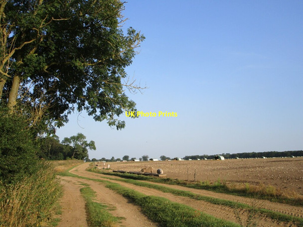 Photo 6"x4" Restricted byway and free range pigs West Acre c2021