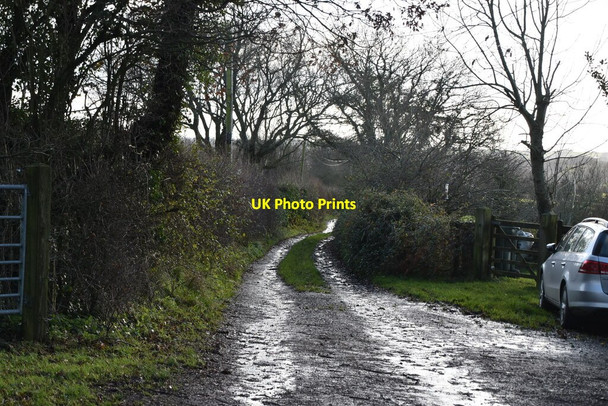 Photo 6"x4" Byway south of Brigden Hill Farm Ponts Green c2020
