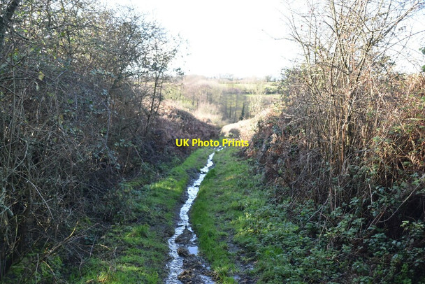 Photo 6"x4" Grassy byway Ponts Green c2020