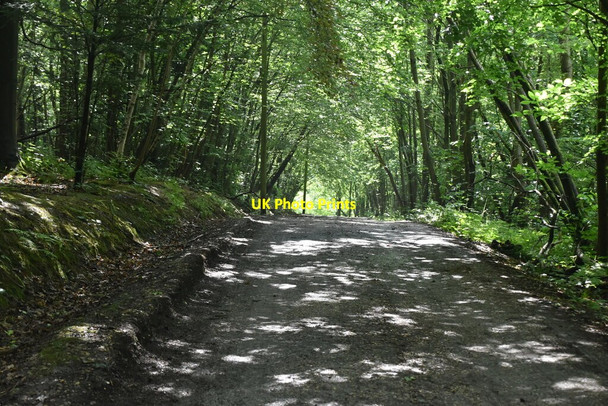 Photo 6"x4" Bridleway, Dene Park Claygate\/TQ6051 c2021