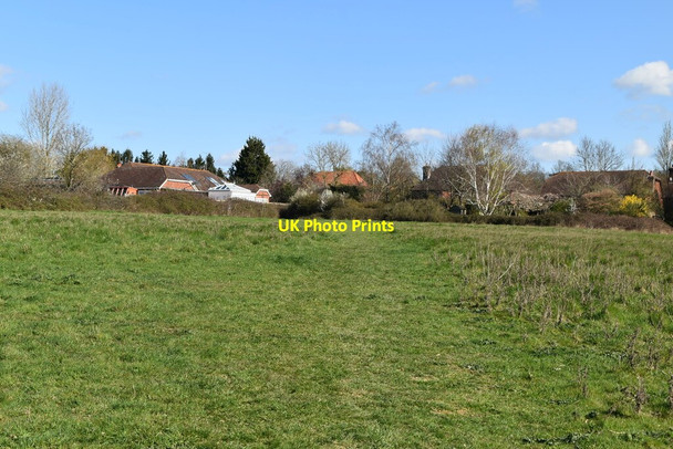Photo 6"x4" Greensand Way Fir Toll c2021