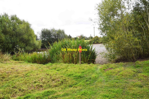 Photo 6"x4" Glimpse of pond, Monkwood Green, Worcs Monkwood Green c2021