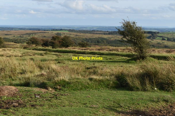 Photo 6"x4" On Winsford Hill Withycombe\/SS8835 c2021