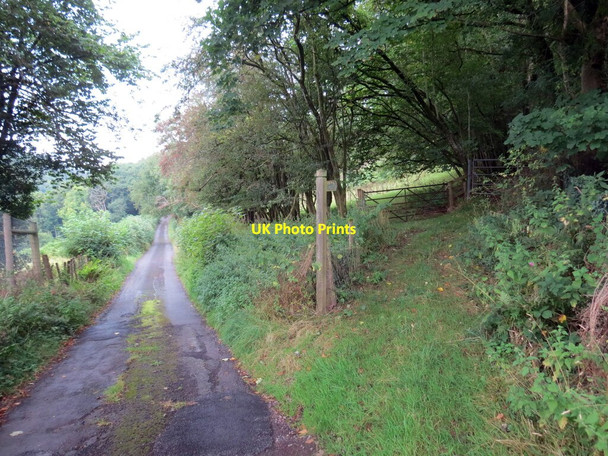 Photo 6"x4" Llwybr i'r mynydd \/ Path to the mountain Llywel c2021