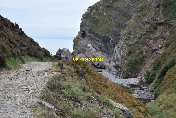 Photo 6"x4" Path approaching Heddon\u00e2\u0080\u0099s Mouth Martinhoe c2021