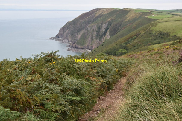 Photo 6"x4" Coastal path diversion Trentishoe c2021