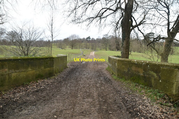 Photo 6"x4" Bridge over River Bewl Stonecrouch c2021