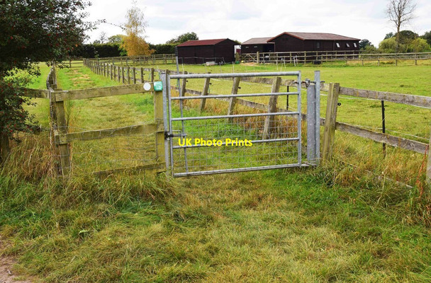 Photo 6"x4" Gate on public bridleway, near Monkwood Green, Worcs Monkwood Green c2021