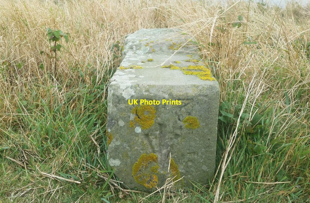 Photo 6"x4" War Department Boundary Stone No20 Flat Holm c2021