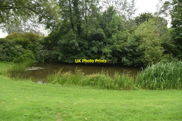 Photo 6"x4" Pond, Chiddingstone Chiddingstone c2021