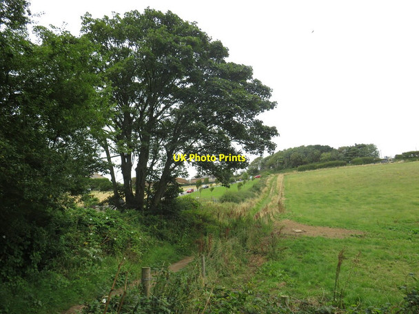Photo 6"x4" Path to Durdle Door West Lulworth c2021