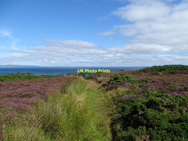Photo 6"x4" Path through heather East Mey c2021