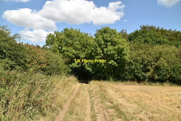 Photo 6"x4" Byway entering Eggringe Wood Sole Street\/TR0949 c2020