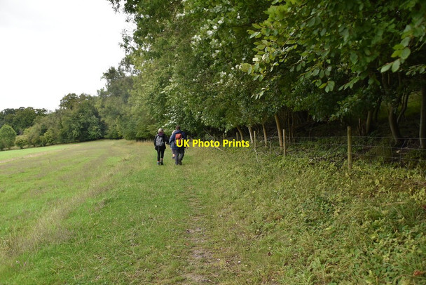 Photo 6"x4" Bridleway by Churchfield Wood Turville c2020 P1