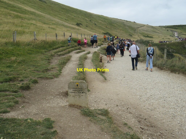 Photo 6"x4" South West Coast Path at Durdle Door West Lulworth c2021