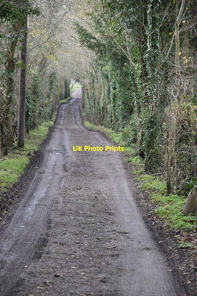 Photo 6"x4" Bridleway, Knatts Valley Knockmill c2020