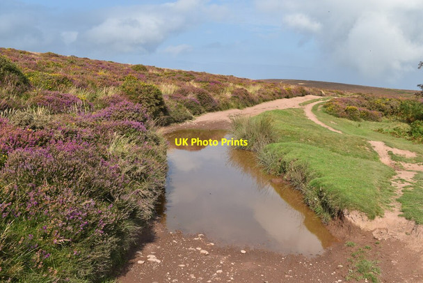 Photo 6"x4" Puddle in track on Weacombe Hill Weacombe c2021