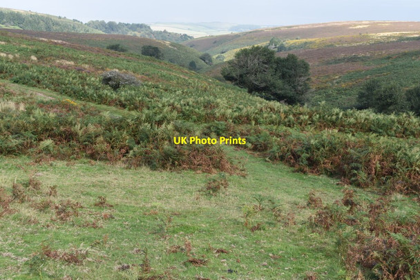Photo 6"x4" View over the head of Gay\u00e2\u0080\u0099s House Combe Higher Street c2021