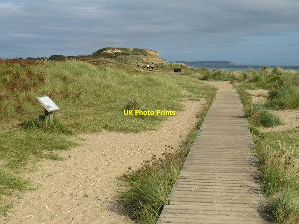Photo 6"x4" Boardwalk near Hengistbury Head Christchurch\/SZ1592 c2021