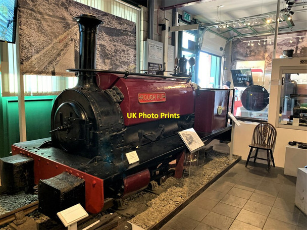 Photo 6"x4" Rough Pup at Tywyn Wharf Tywyn\/SH5800 c2021