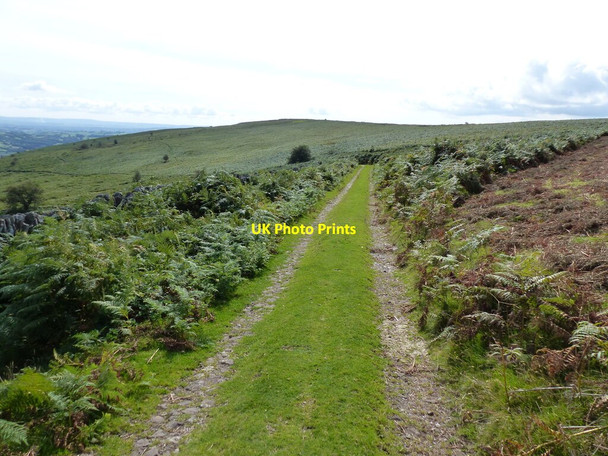 Photo 6"x4" Track across moorland Bettws\/SO2919 c2021
