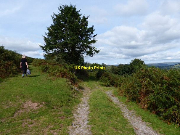 Photo 6"x4" Path towards the Sugarloaf splits from the track Bettws\/SO2919 c2021