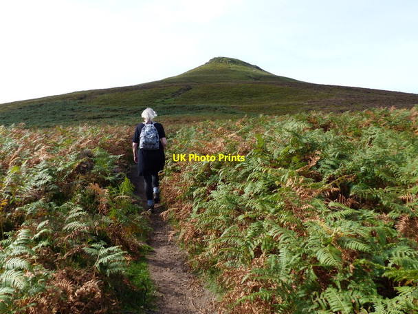 Photo 6"x4" Walker on a path through bracken heading for the Sugarloaf Bettws\/SO2919 c2021