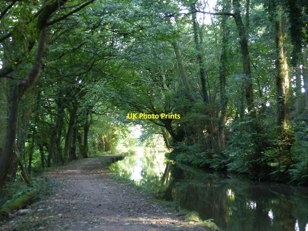 Photo 6"x4" Monmouthshire and Brecon canal heading south Beili-glas c2021