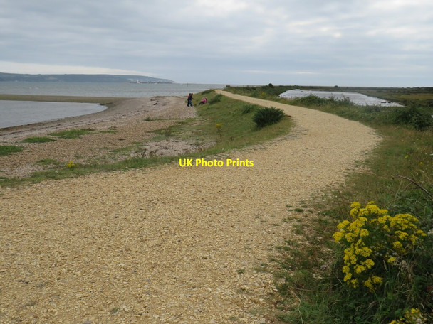 Photo 6"x4" Track along the bank of the Solent, near Lymington Lower Pennington c2021