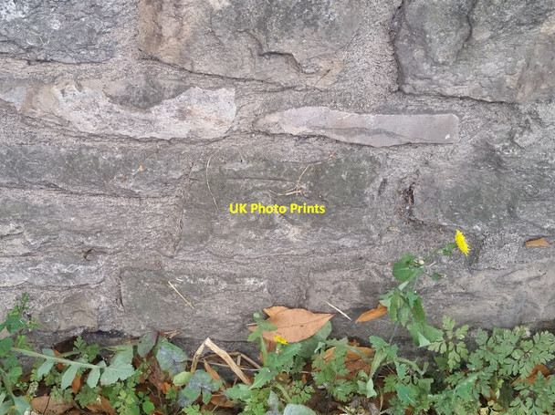 Photo 6"x4" Ordnance Survey Cut Mark Clevedon c2021 P3