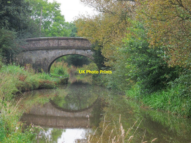 Photo 6"x4" Bridge across the Macclesfield Canal Gawsworth c2021