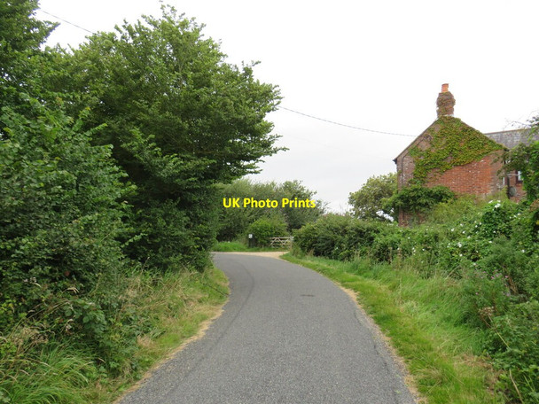 Photo 6"x4" Normandy Lane, near Lymington Lymington c2021