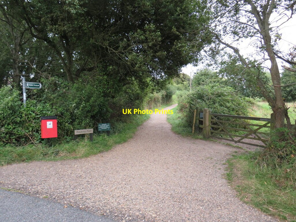 Photo 6"x4" Pinckney Path, near Lymington Lymington c2021