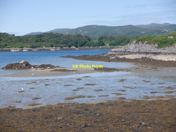Photo 6"x4" Beach, Loch na Droma Buidhe Glenborrodale c2021
