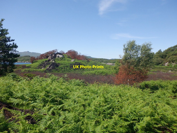 Photo 6"x4" Fire damage, Druimbuidhe Glenborrodale c2021