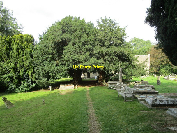 Photo 6"x4" Path through the churchyard, Sapperton Daneway c2021