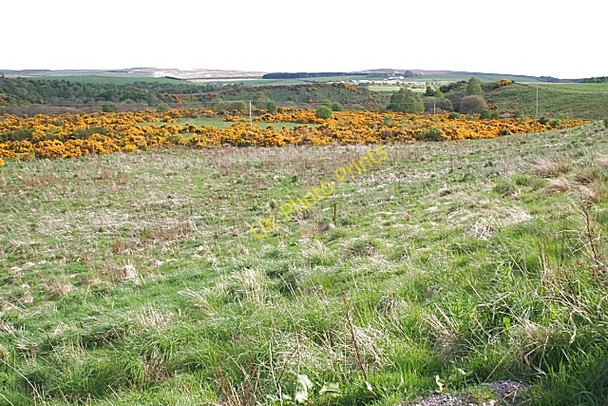 Photo 6"x4" River Lossie Thomshill c2009