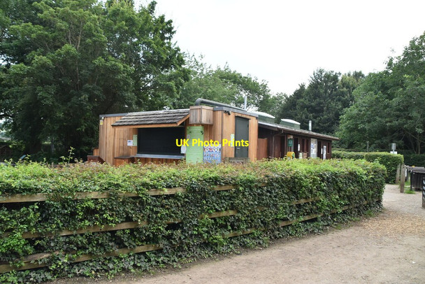 Photo 6"x4" Cafe, Haysden Country Park Tonbridge c2021