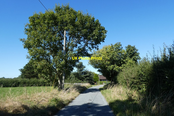 Photo 6"x4" Lane from Alford Well Farm Alford\/ST6032 c2021