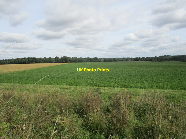 Photo 6"x4" Fields near Park Corner Daneway c2021