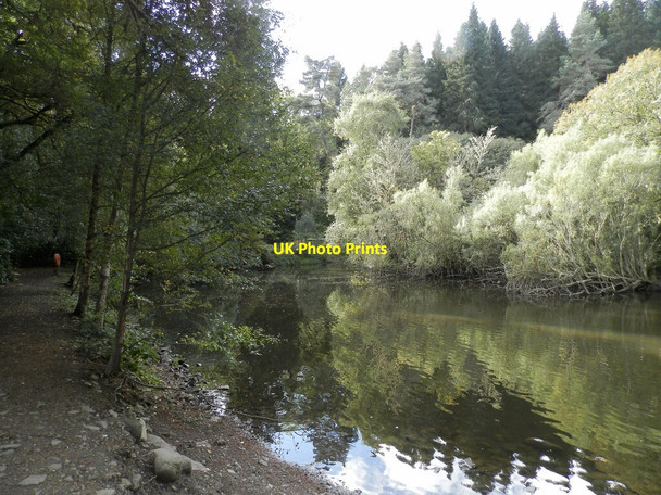 Photo 6"x4" Pond at entrance to Dunain Community Woods Leachkin c2021