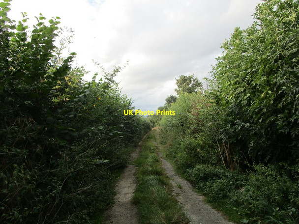 Photo 6"x4" Former road to Slimbridge Draycott\/SO7402 c2021